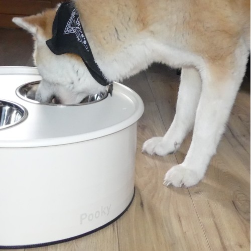 Coffre porte écuelles chien