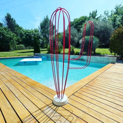 Cactus - 1m50 de hauteur