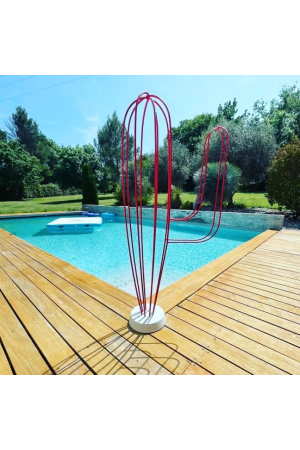 Cactus - 1m50 de hauteur