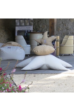 Coussin  etoile de mer